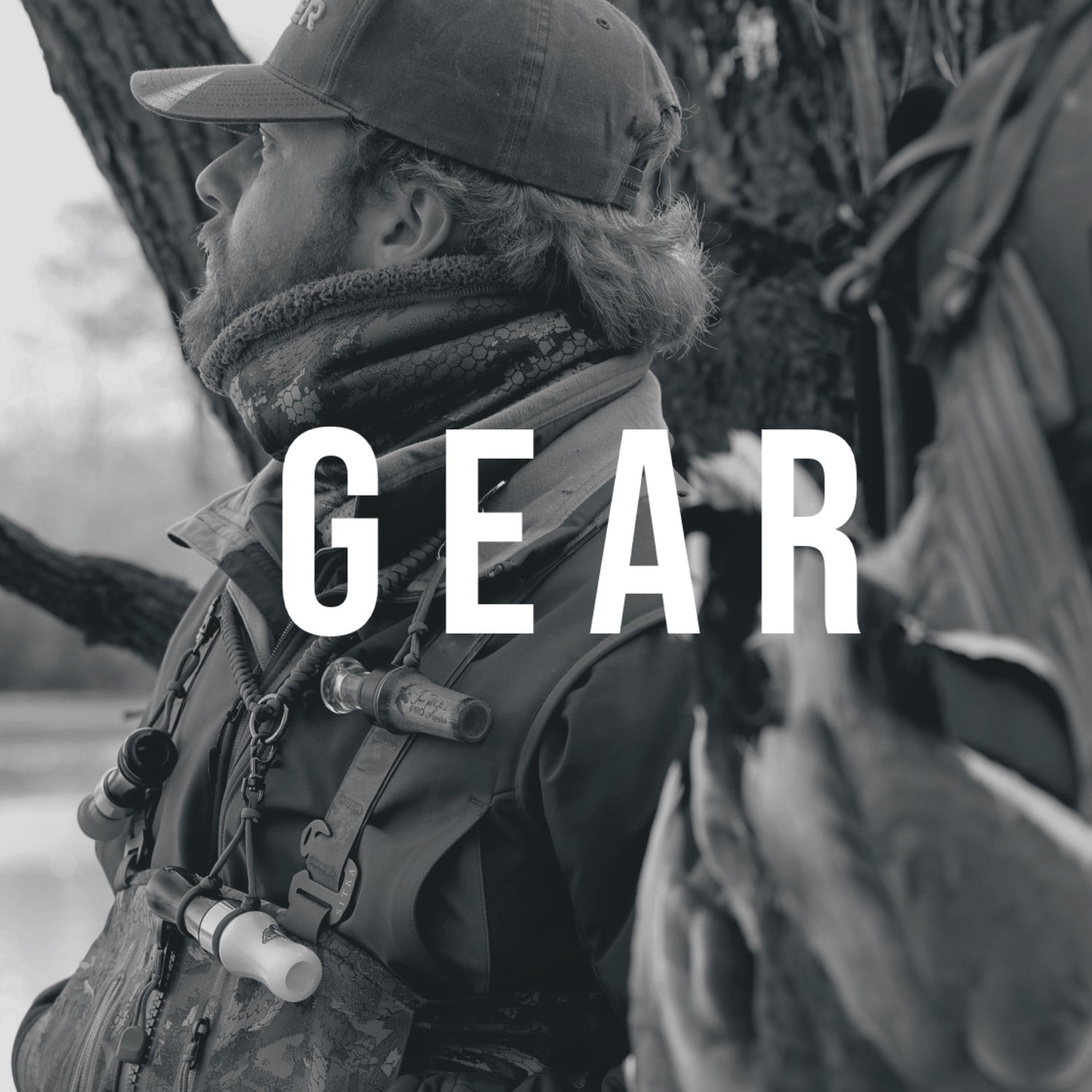 GEAR